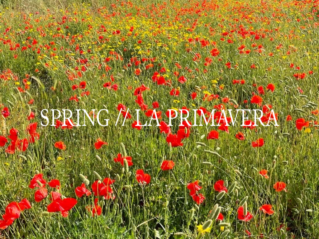 La Dolce Vigna Spring Primavera Playlist Image