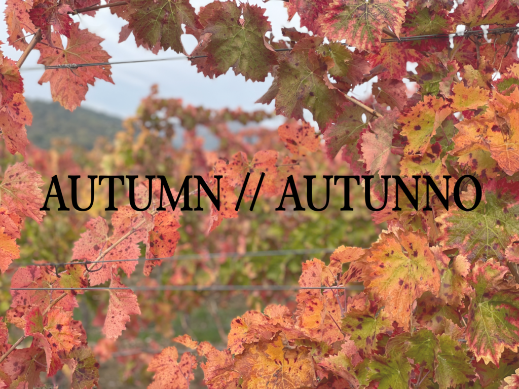 La Dolce Vigna Autumn Autunno Playlist