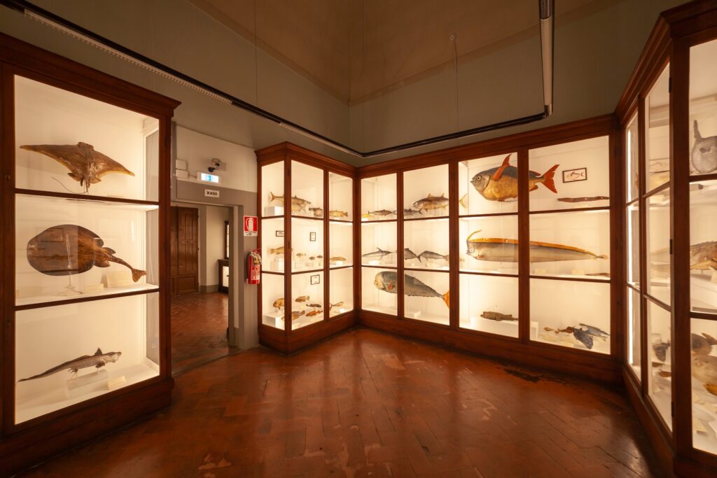 La Dolce Vigna Top Italy Museums La Specola Photo Credit Stefano Cellai